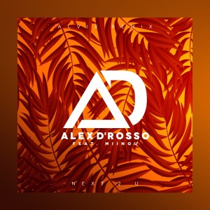 Listen to Next 2 U (Alvix Remix) song with lyrics from Alex D'rosso