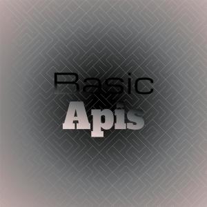 Various Artists的專輯Basic Apis