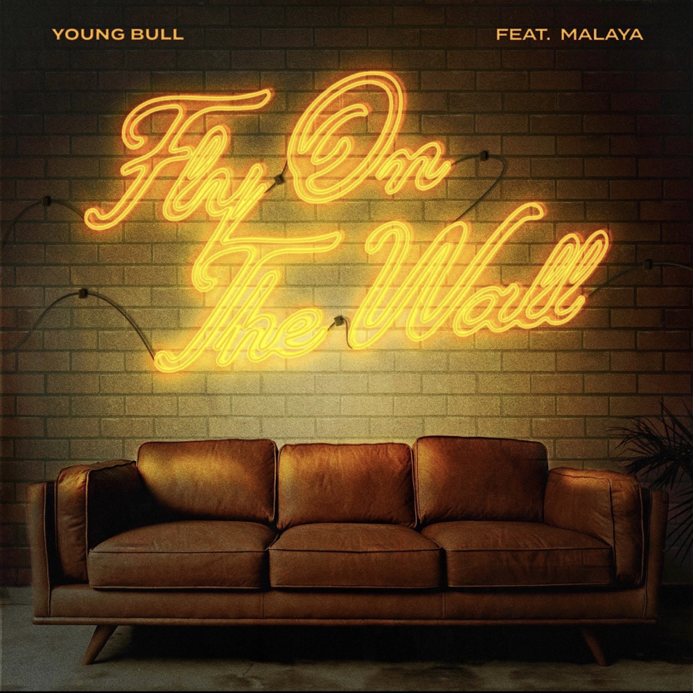 FlyOnTheWall.wav