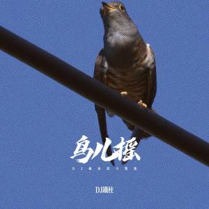 Album 鸟儿摇 (DJ越南鼓卡点版) from DJ铁柱