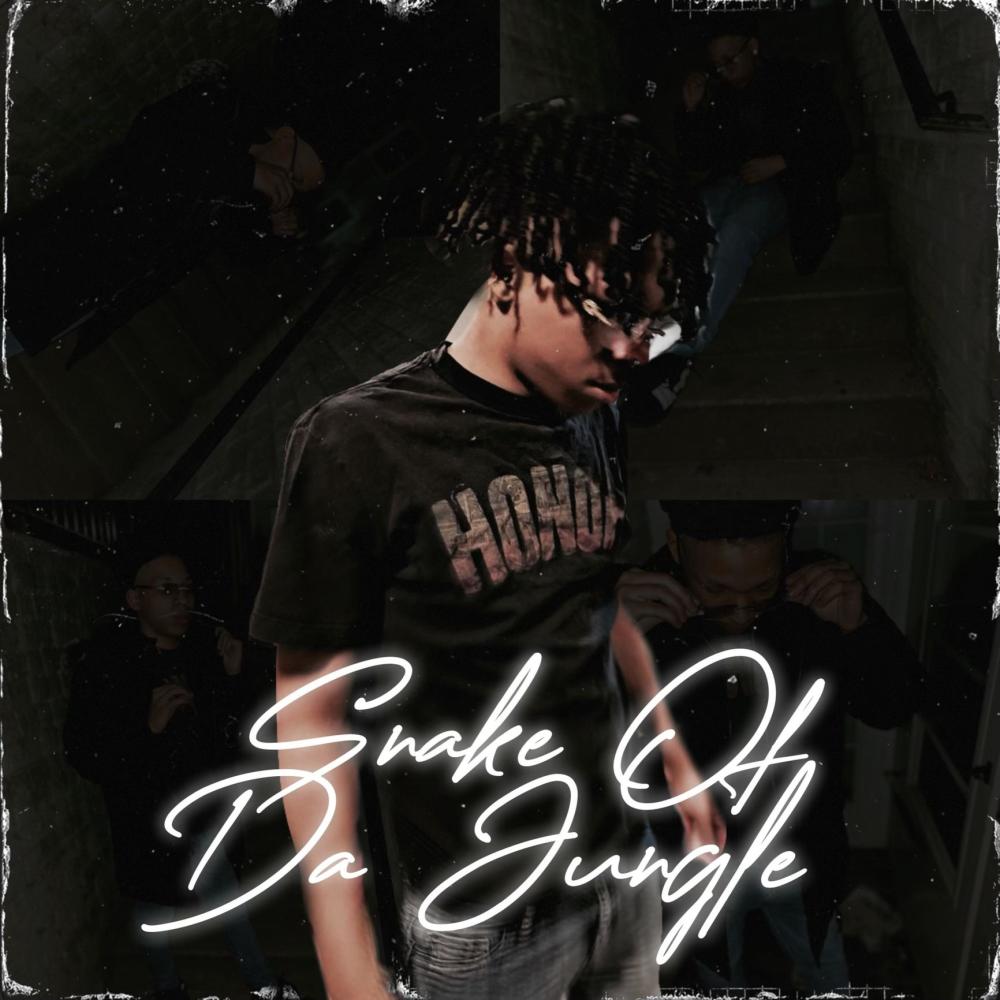 SWYD (feat. BabyyJank & 33pints) (Explicit)
