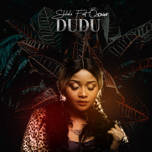 Listen to Dudu song with lyrics from Shilole