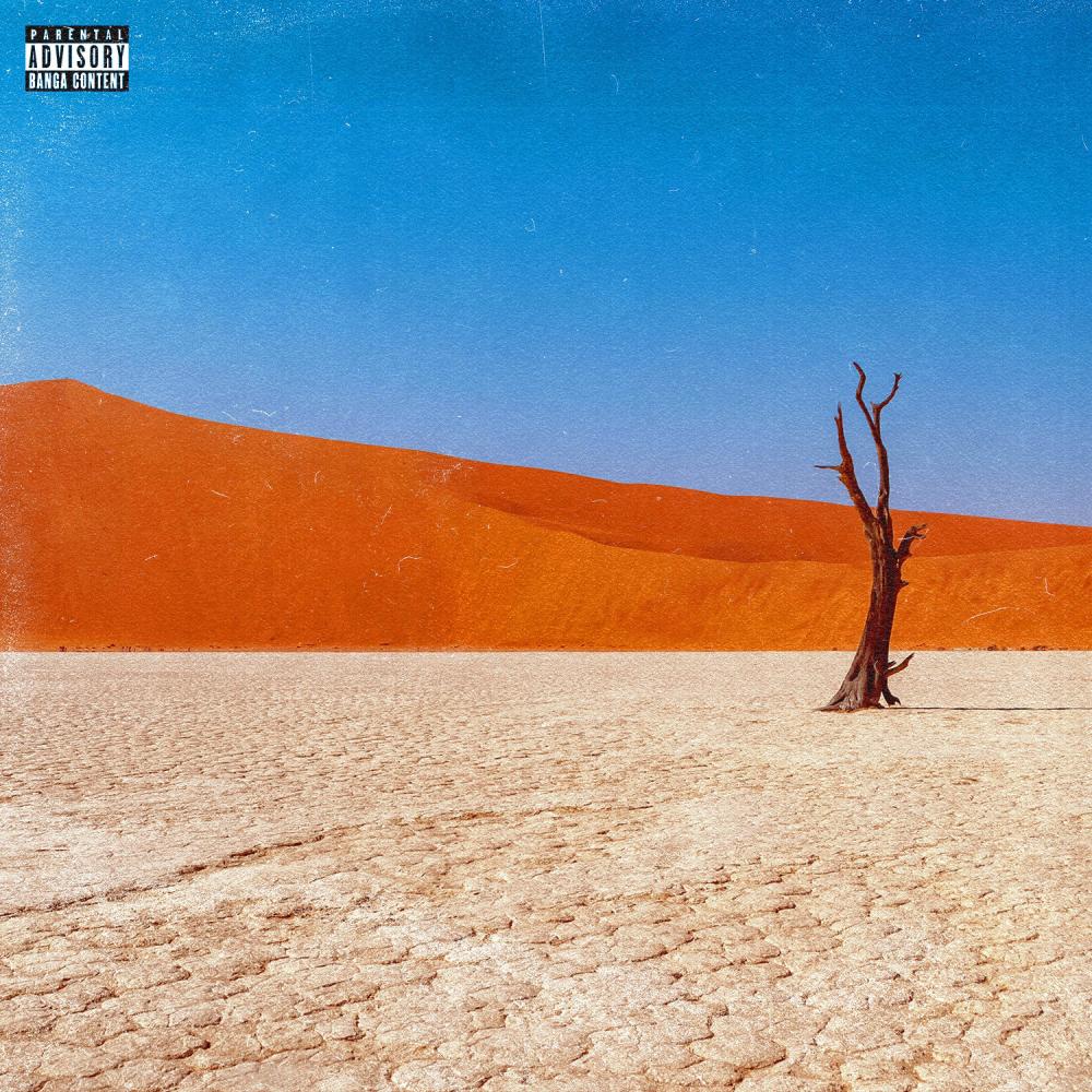 DOING GOD KNOWS WHAT (feat. THANKQ) (Explicit)