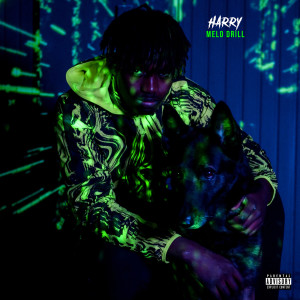 Listen to Melo Drill (Explicit) song with lyrics from Harry