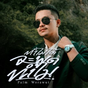 收听Palm Worawut的ทำไม่ได้จะพูดทำไม歌词歌曲