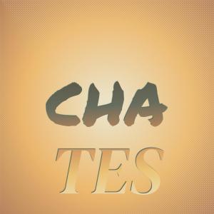 Album Cha Tes oleh Various