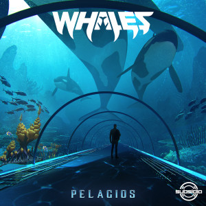 Listen to Too Weird song with lyrics from Whales