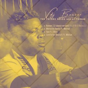 Listen to Runner 2.0 (Dance Version) song with lyrics from Vdj Benzor