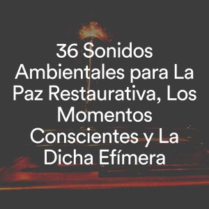 Listen to Calma en una noche de tormenta song with lyrics from Musica de Relajacion Espace