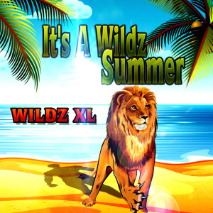 收听WILDZ XL的It's a Wildz Summer歌词歌曲