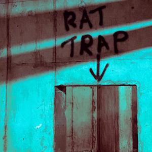 Pinwheel的專輯Rat Trap