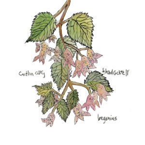ดาวน์โหลดและฟังเพลง Please Break My Heart พร้อมเนื้อเพลงจาก Caitlin Cary