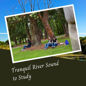 Tranquil River Sound to Study
