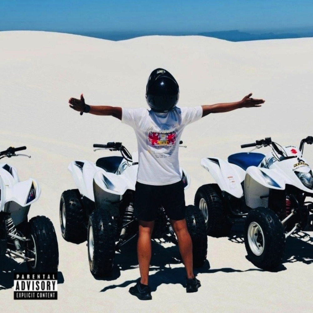 Views (Remix|Explicit)