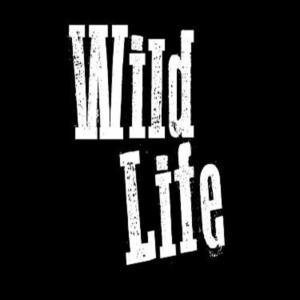 Album Wild Life from El Doctor