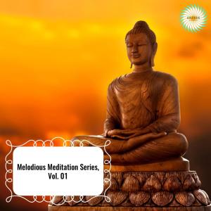 Album Melodious Meditation Series, Vol. 01 from Various