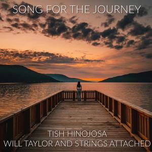 Will Taylor and Strings Attached的專輯Song for the Journey (feat. Tish Hinojosa)