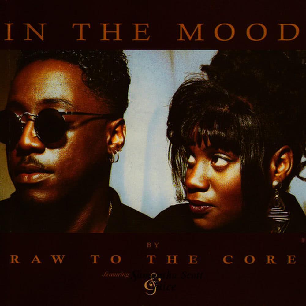 In the Mood (Original Mix)
