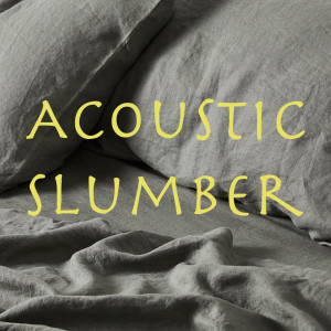 收聽Wildlife的Hotel California (Acoustic)歌詞歌曲