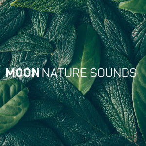 Album 8D Sonidos de la Naturaleza oleh Luna Tunes