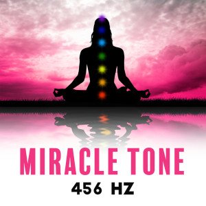 Album Miracle Tone 456 Hz (Root Chakra Healing Sound Frequencies) from 