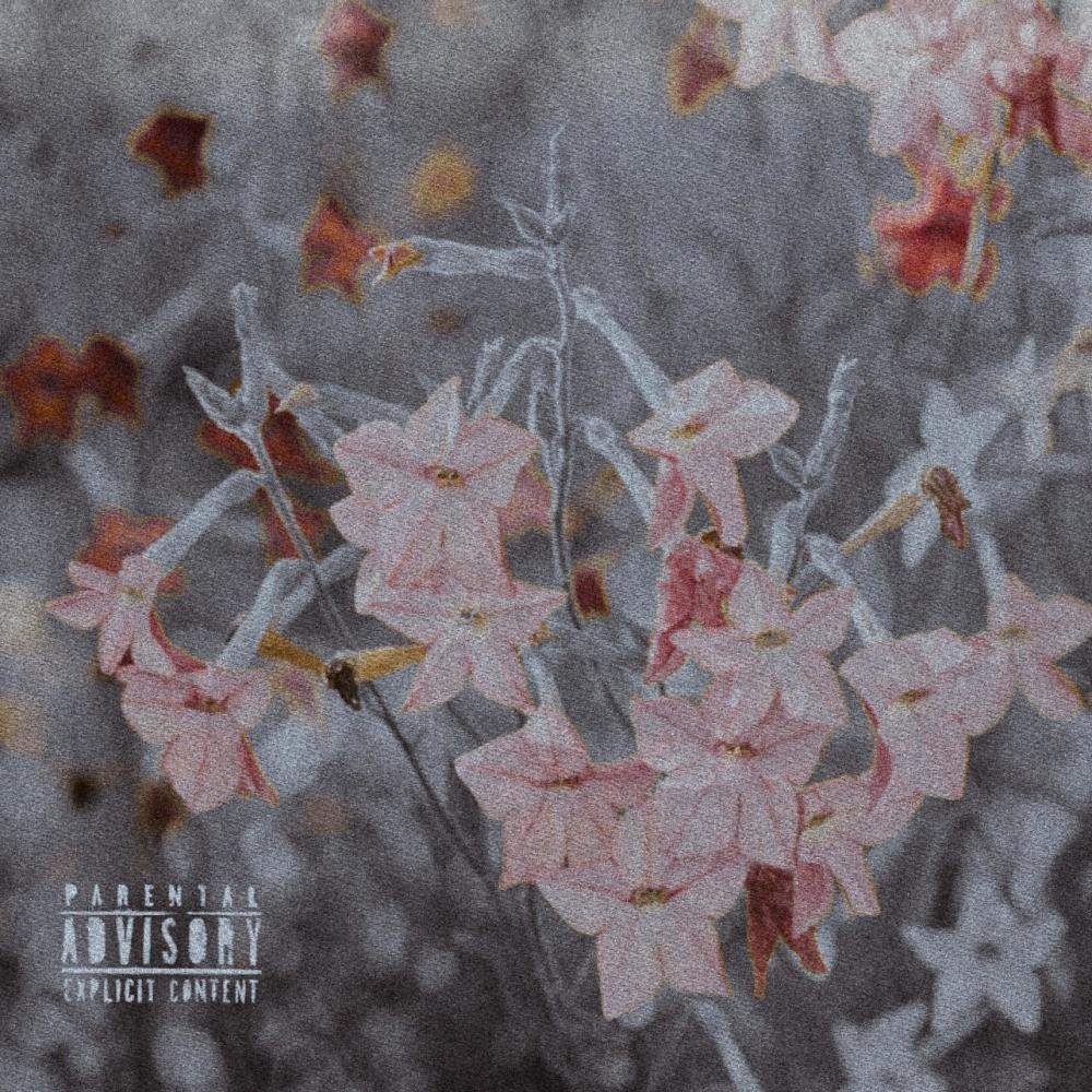 HAHAHA 2 (Nicotiana) (Explicit)