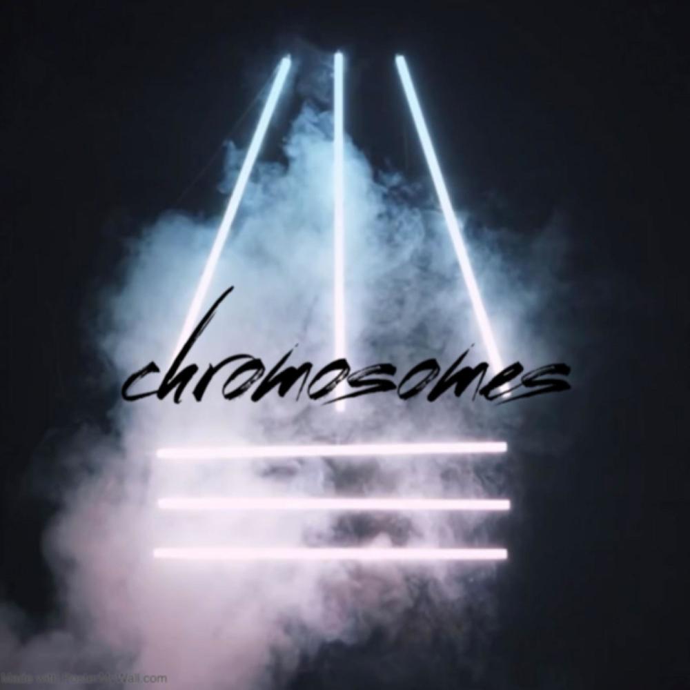Chromosomes (Explicit)