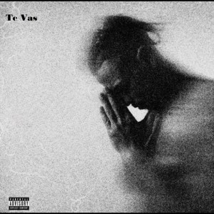 Listen to Te Vas (Explicit) song with lyrics from Rasta MC