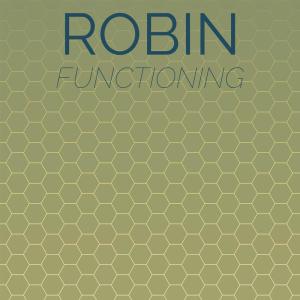 Album Robin Functioning from Various