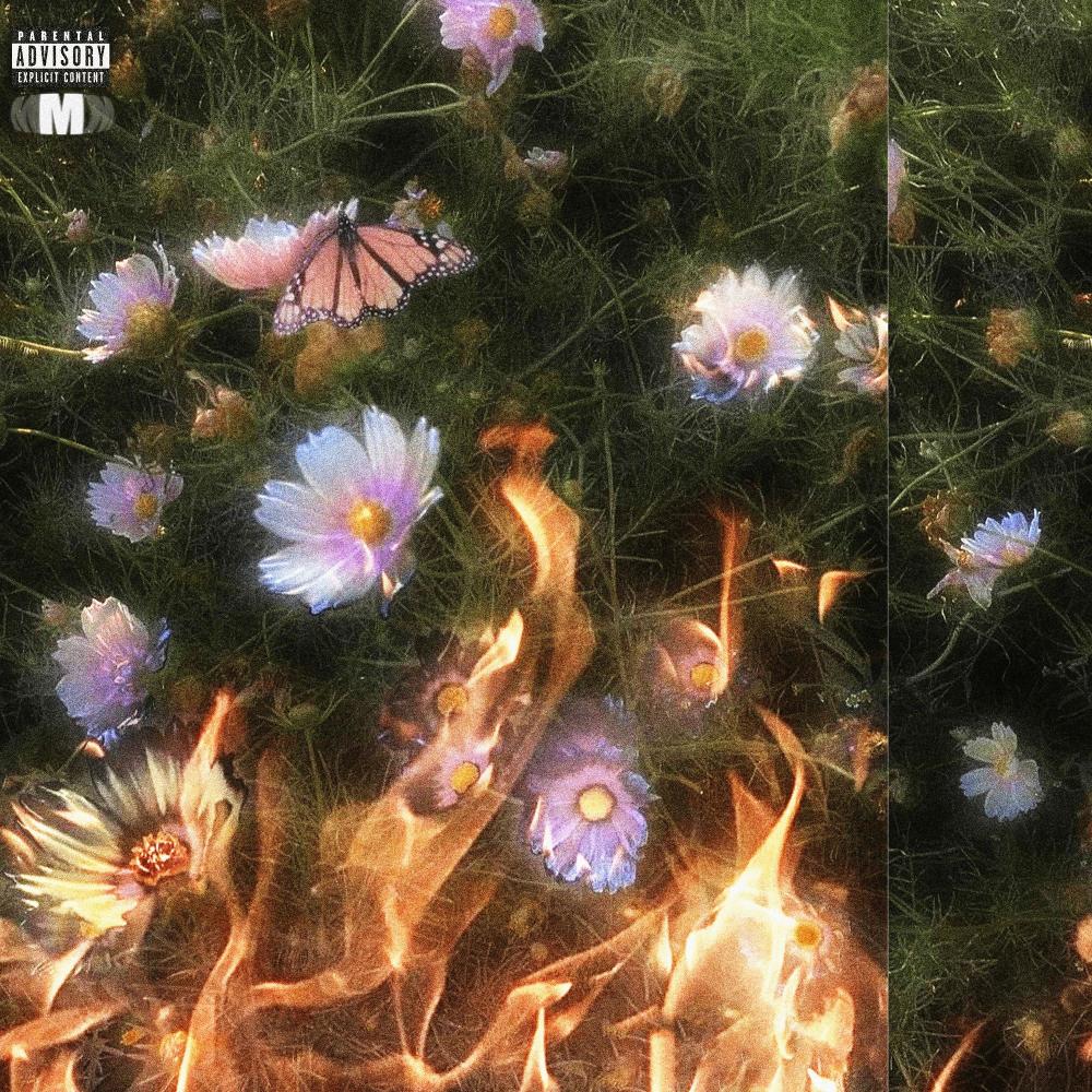 afterlove (Explicit)