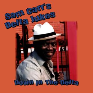 ดาวน์โหลดและฟังเพลง I Got Love พร้อมเนื้อเพลงจาก Sam Carr's Delta Jukes