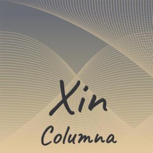 Various Artists的專輯Xin Columna