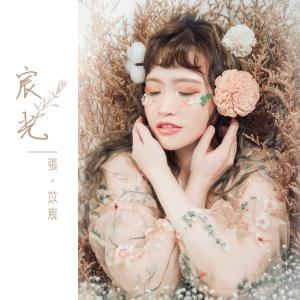 Listen to 还给你自由 song with lyrics from 张苡宸