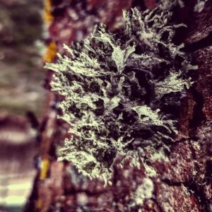 ดาวน์โหลดและฟังเพลง Meditation พร้อมเนื้อเพลงจาก SuperLudwig