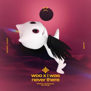 Listen to woo x i was never there - slowed + reverb song with lyrics from Group Star