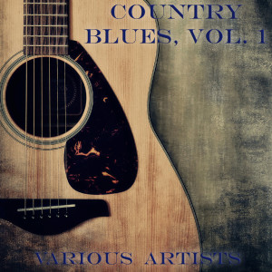 收聽Jackson County Barn Owls的Bake That Chicken Pie歌詞歌曲