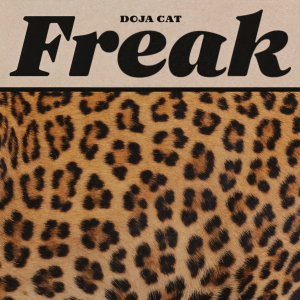 收聽Doja Cat的Freak (Explicit)歌詞歌曲