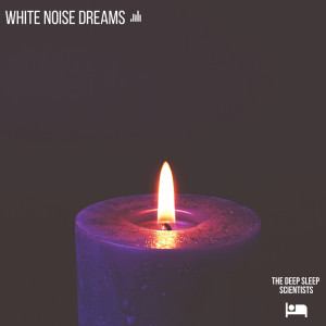 Listen to White Noise Storm song with lyrics from The Deep Sleep Scientists