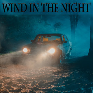 Album Wind in the Night from Freddy J. Romero