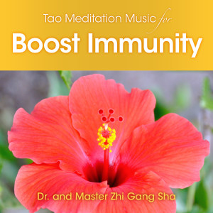 Tao Meditation Music to Boost Immunity dari Dr. & Master Zhi Gang Sha