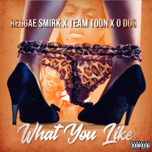 Listen to What You Like (Explicit) song with lyrics from REGGAE SMIRK