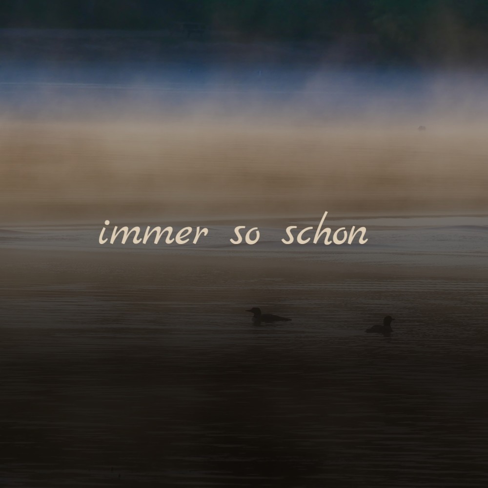 Let Me Wrap You in My Warm and Tender Love (Live)