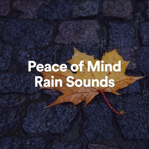 收聽Rain for Deep Sleep的Reasurance Rain歌詞歌曲