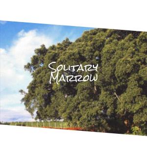 Album Solitary Marrow from Various