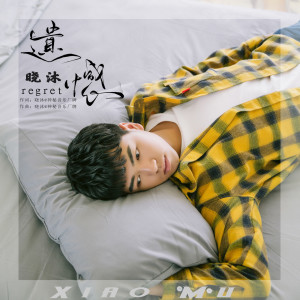 Listen to 遗憾 song with lyrics from 晓沐