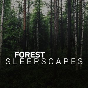 收聽Forest Soundscapes的Streamside Life歌詞歌曲