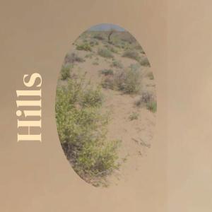 Album Hills from Various