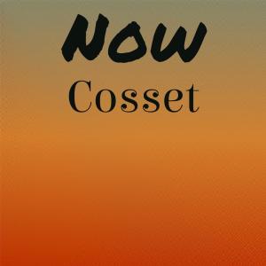 Listen to Waifish Coq song with lyrics from Clio Dens