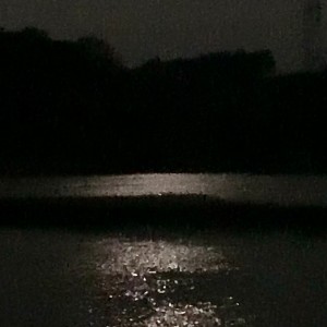 ดาวน์โหลดและฟังเพลง Make You Feel My Love (cover: Adele) (完整版) พร้อมเนื้อเพลงจาก 璞瑾棠