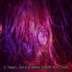Album 11 Tranquil Inspiring Harmony Binaural Beats Sounds from Binaural Beats Brainwave Entrainment